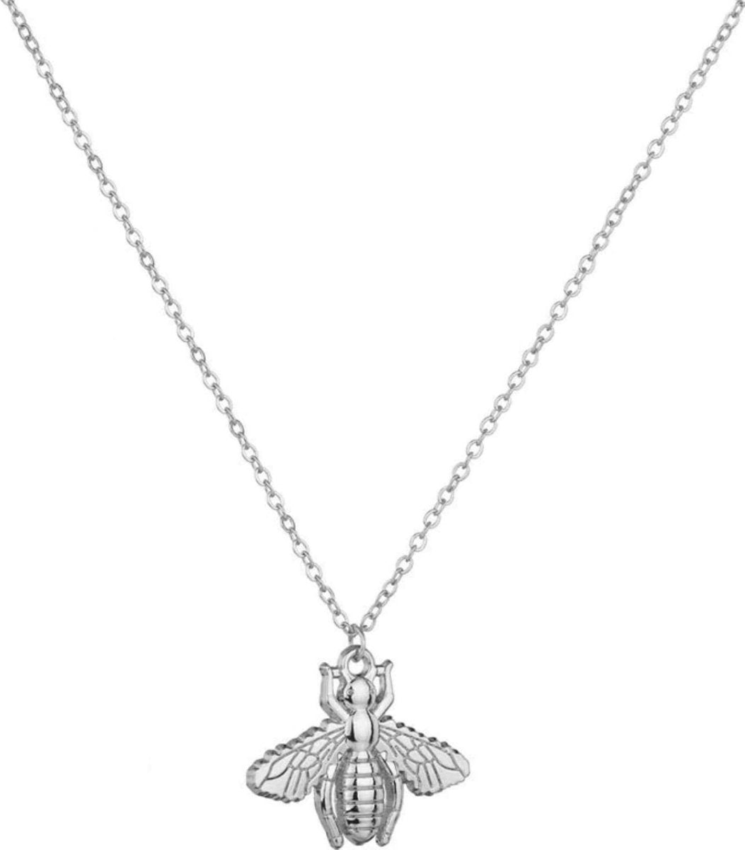sieraden setje bij oorbellen en kettinkje, zilver