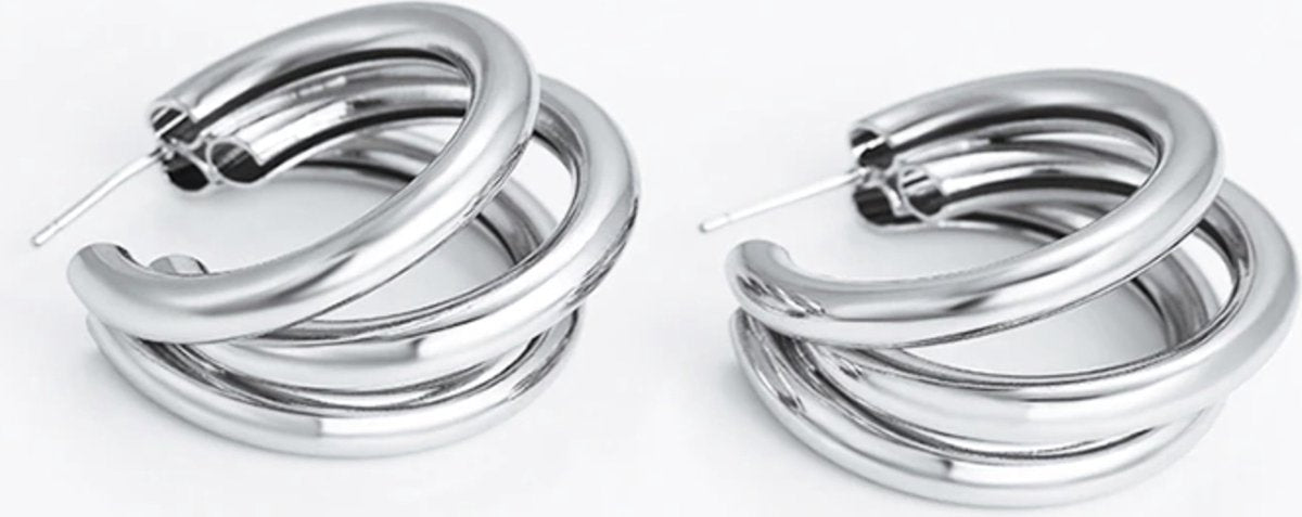 Zilverkleurige dames oorringen - dubbele oorringen