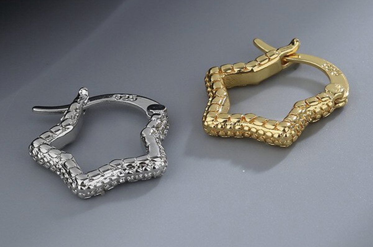 ster oorbellen, zilver