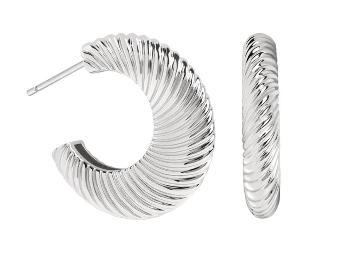 grote oorbellen, zilver