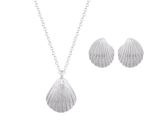 schelpen sieraden set oorbellen en kettinkje zilver